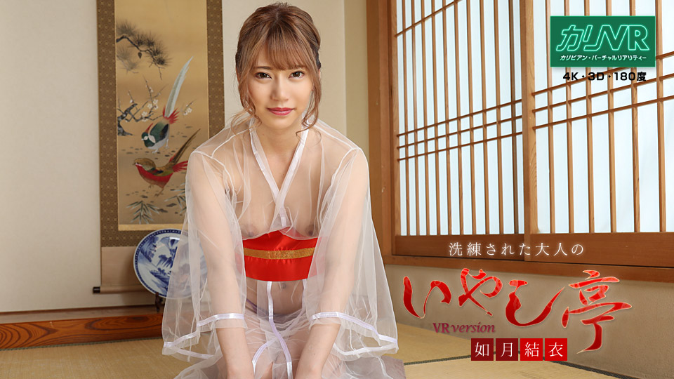 [VR]洗練された大人のいやし亭〜超絶美人のマゾパイズリとリアル本番体験〜