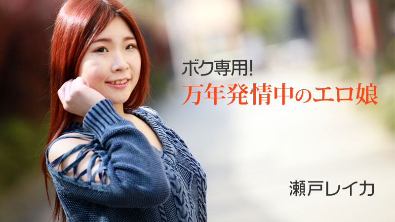 ボク専用！万年発情中のエロ娘																				- 瀬戸レイカ