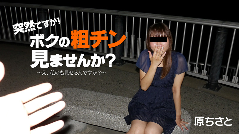 突然ですが!ボクの粗チン見ませんか?~え、私のも見せるんですか?~																				- 原ちさと