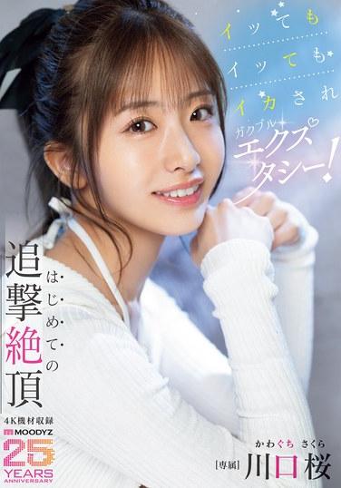 ไม่ว่าจะถึงจุดสุดยอดกี่ครั้ง เธอก็ยังคงถึงจุดสุดยอดซ้ำแล้วซ้ำเล่า ตัวสั่นเทาด้วยความสุขสุดขีด! ประสบการณ์ถึงจุดสุดยอดหลายครั้งครั้งแรกในชีวิตของเธอ - คาวากุจิ ซากุระ