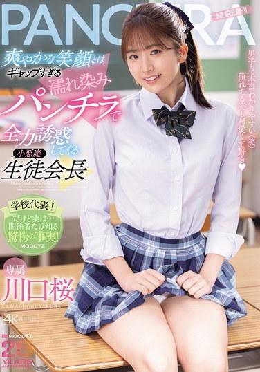 คาวากุจิ ซากุระ ประธานสภานักเรียนจอมเจ้าเล่ห์ ใช้เสน่ห์ดึงดูดใจอย่างเต็มที่ เผยให้เห็นกางเกงในเปียกชุ่มเปื้อนคราบ ซึ่งตัดกันอย่างสิ้นเชิงกับรอยยิ้มสดใสของเธอ