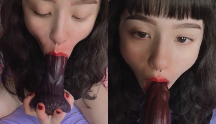 [ฟิลิปปินส์] ออสเตรเลียน มาสเตอร์หมีหมีหมี~ ฝึกฝนทักษะคอลัฟด้วยนกปลอมขนาดใหญ่