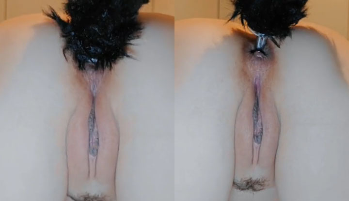 suoai1024 se transformou em minha pequena cachorrinha, é tão fofo quando ela abana o rabo.