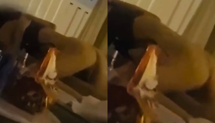 นักแสดงระดับท็อปและดาราหนุ่มสุดฮอต Xu Kai ถูกจับได้ว่าแอบเลิ้ยนชู้กับดาราหญิงของค่าย Zhao Qing หลังจากคลิปหลุดในโรงแรมออกมา อดีตแฟนสาว Xu Lisi เปิดโปงรายละเอียดที่ชัดเจนยิ่งขึ้นเกี่ยวกับพฤติกรรมหยาบคายของเขา—เรื่องจริงเบื้องหลังคืออะไร?