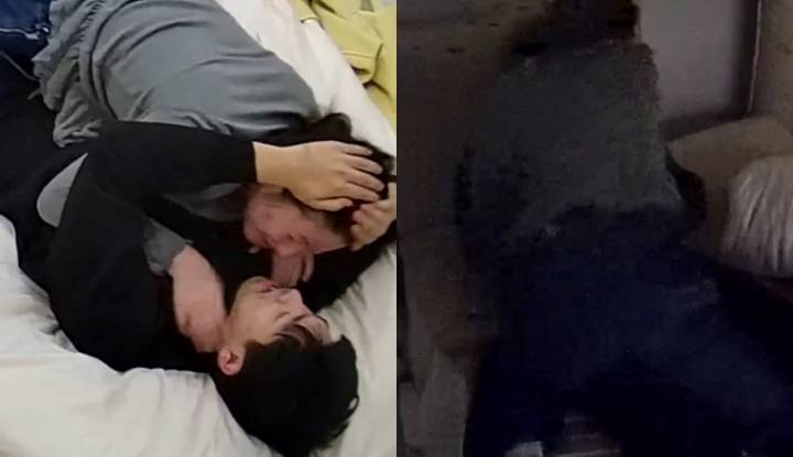 當賀爾蒙充滿整間房間時，就是做愛配種之時