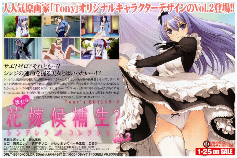 彼女は花嫁候補生? シンデレラコレクション vol.2