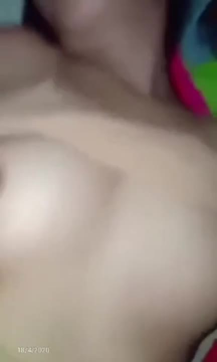 13543.t