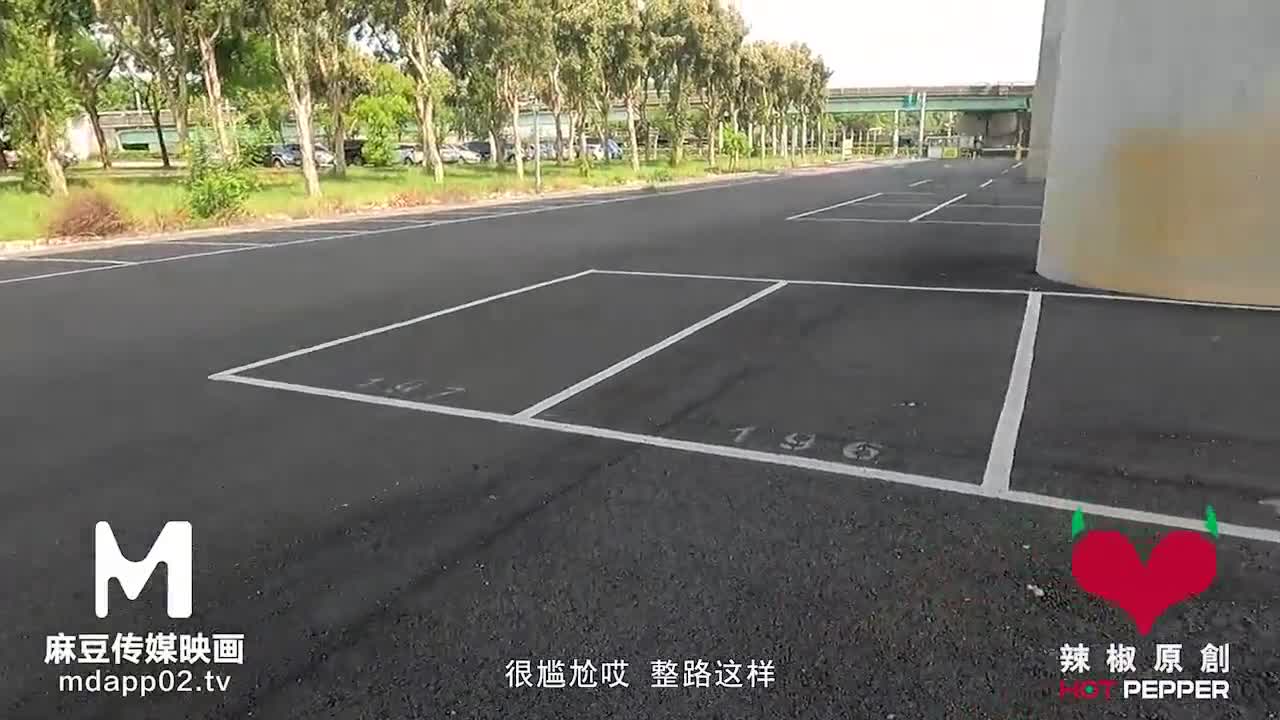 Alphard car shock