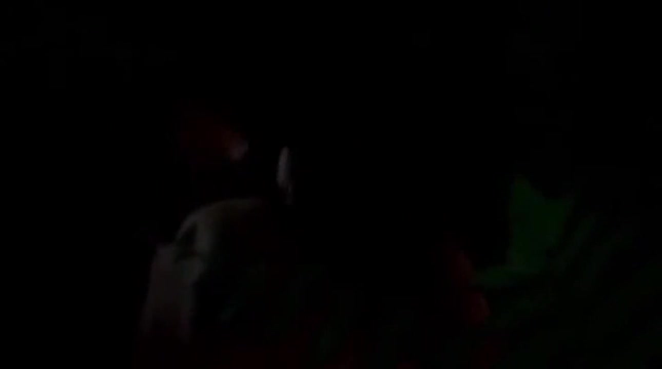 watch a thai r-rated movie. ina, a country girl, comes to the city to work as a sex slave to make money. men often flirt with her and then take her home to have sex with her. most of the time, it's a fake love story. she wants real love. how will she succeed in this job? let's follow her. porn movies, 18 movies, porn clips, leaked clips inwporn.com